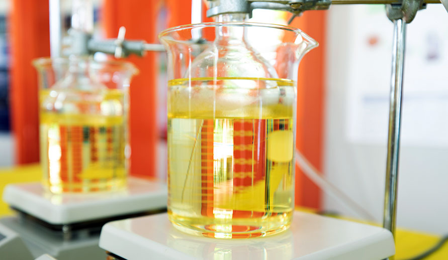 Recycling von Fetten und Verwertung von überlagerten Lebensmitteln